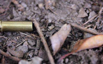 Seventeen killed in Nigeria