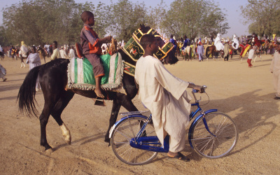 Horse Ban in NE Nigeria After Boko Haram Attacks