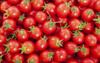 Nigeria is currently in a ‘tomato’ state of emergency