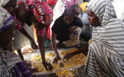 Millions of Nigerians Face Starvation in Wasteland Retrieved From Militants