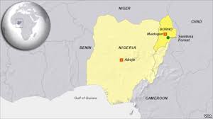 Nigeria topples last Boko Haram stronghold in Sambisa Forest