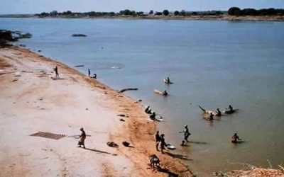 Boko Haram kills 31 fishermen in Nigeria