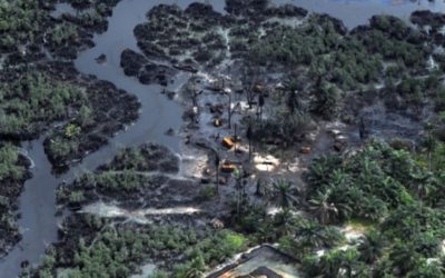 Trouble brewing in Nigeria swamps threatens economy