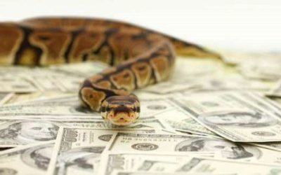 Nigeria anti-graft body to probe how snake ‘ate’ over 36 million Naira govt funds